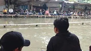 MANCING IKAN MAS LIVE BALJER RONAL PASTEUR BANDUNG