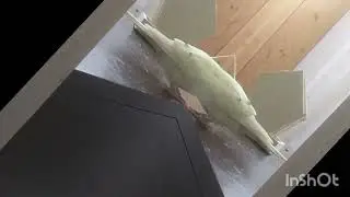 Techno bird #birds #pets #animals #funny #technogamerz #remix #music #like #subscribe #bird 