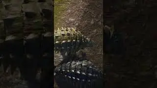 ANKYLOSAURUS - A little extreme socializing Jurassic World Evolution 2 Dominion