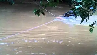 Jungle River Crossing