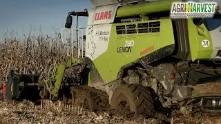 Claas Lexion 780 TT stuck in MUD