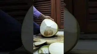The brutality of stainless steel knives made in brazil in cutting coconuts l Loem voleak official