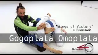 BJJ After 40 Micro Seminar for Jiu-Jitsu:  Omoplata Gogoplata Triangle Wings of Victory Combo!