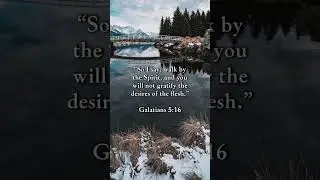 One Step at a Time &mdash; Galatians 5:16
