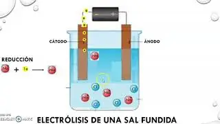 Celda Electrolítica funcionamiento y electrólisis de una sal fundida