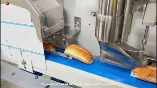 Cream slicing and filling machine! #BakerySolutions #ConsistentQuality #PerfectLayers #Filling
