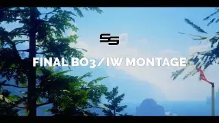 Shortstahp - Final BO3/IW Montage