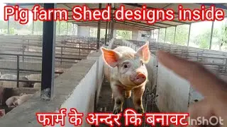 Best Pig Farm Shed Designs Revealed plan inside । Pig farming management #pigfarm &zwnj;@Sk-Gajraj #viral