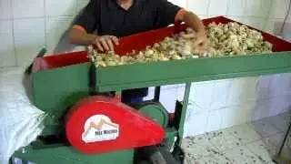Debulhador de Alho   Max Machine