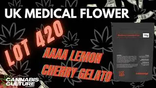 UK MEDICAL FLOWER | LOT 420 AAAA | LEMON CHERRY GELATO