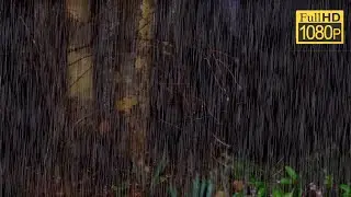 真夜中の雨音でぐっすり眠る 1時間37分