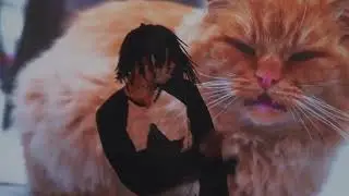 DC The Don - dirty little secret 