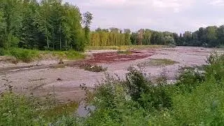 Emme River - Engineered Log Jams - flash flood