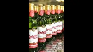 🇨🇿🍻Probamos la BUDWAR original, CERVEZA checa #shorts
