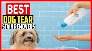 ✅Top 5 Best Dog Tear Stain Removers in 2026