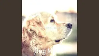 Smart Ambience for Sleeping Dogs