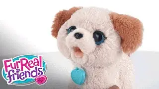 FurReal Friends - 'Pax, My Poopin' Pup' Demo - Hasbro