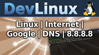 How to Test a Linux Host for Internet Connectivity - Use Google's DNS Servers