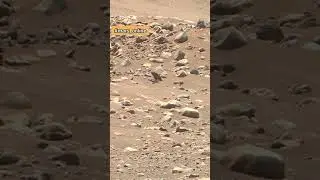 #rocks #desert #sand #mars #mars_rover #space #object #video