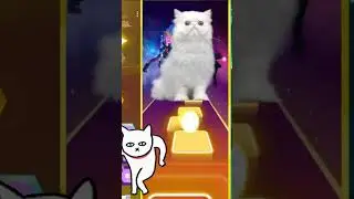 Cute Cat BTS DNA | Tiles Hop EDM Rush | #shorts #cat #cats