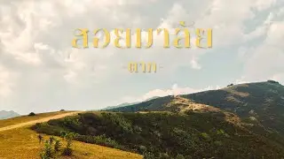 #ขี่มอเตอร์ไซค์ #ดอยสอยมาลัย ขี่มอเตอร์ไซค์พิชิตดอยสอยมาลัย | วิวสวย ทางโหด | ลองTake