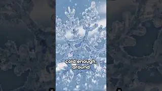The Magic of Snowflakes: A Journey from Cloud to Crystal #snowflakes #shortsbeta