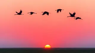 sunrises video|beautiful sun rises video|non copyright sunrises video|sunrise videos|sunrise video