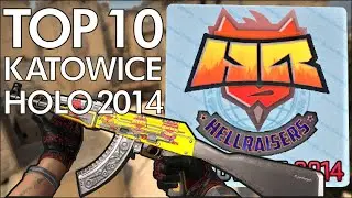Top 10 | Katowice 2014 Sticker Crafts | HellRaisers (HOLO) feat. Arrow