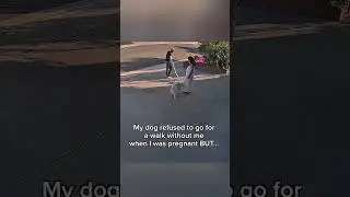🐾🎥 
