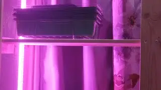 Не люблю чувство обязанности/моя очередная хотелка