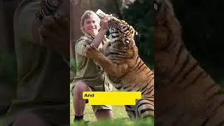Steve Irwin 🐊🌿 | The Crocodile Hunter & Wildlife Legend 💬🌍