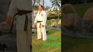kata  Sanchin  y sus  beneficios.