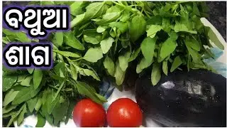 ବଥୁଆ ଶାଗ/Bathua Saga Recipe/Bathua Saag Recipe in Odia/Bathua Recipe