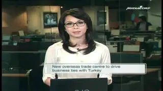 IE Singapore opens trade centre in Istanbul