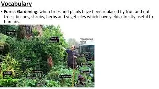 Introduction to Ornamental Horticulture