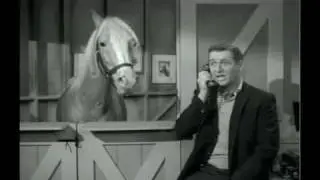 Mr. Ed Sings