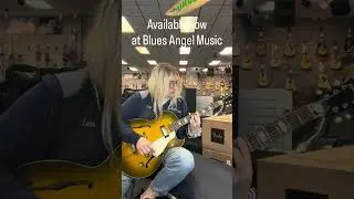 Epiphone Sorrento E452T - Royal Olive Burst - Available Now