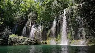 4 MINUTE RELAXATION NATURE MUSIC VIDEO