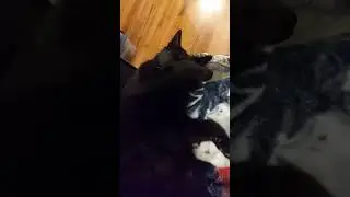 I only whispered his name so as not to wake him , appropriately