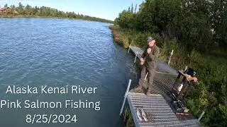 Alaska Kenai River Silver Salmon Fishing