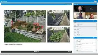 Te Taiao Webinar 4: Pest plants and community weed control innovations in the Wellington region