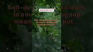 Fulfillment Quest Exciting Path, Exhausting Sacrifices