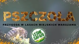 PSZCZOŁA