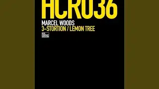 3-Stortion