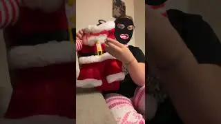 My dogs Christmas outfit!!!