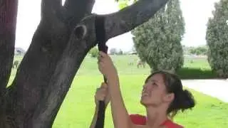 Using a Tree Swing Hanging Strap Option #2