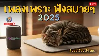 🔴 LIVE 24 HR. | เพลงรักเพราะๆ ฟังเพลินไม่สะดุด 🎶เปิดตอนทำงาน อ่านหนังสือ | Thai Pop Acoustic