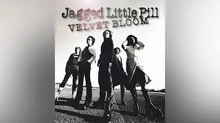Jagged Little Pill『VELVET BLOOM』