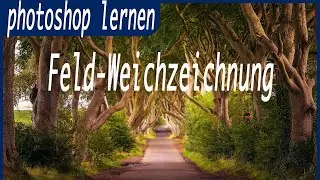 Photoshop / Feld-Weichzeichnung - Tiefenschärfe ändern mit wenigen Klicks - Tutorial Deutsch