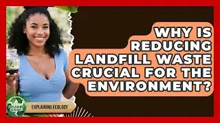 Why Is Reducing Landfill Waste Crucial For The Environment? - Explaining Ecology